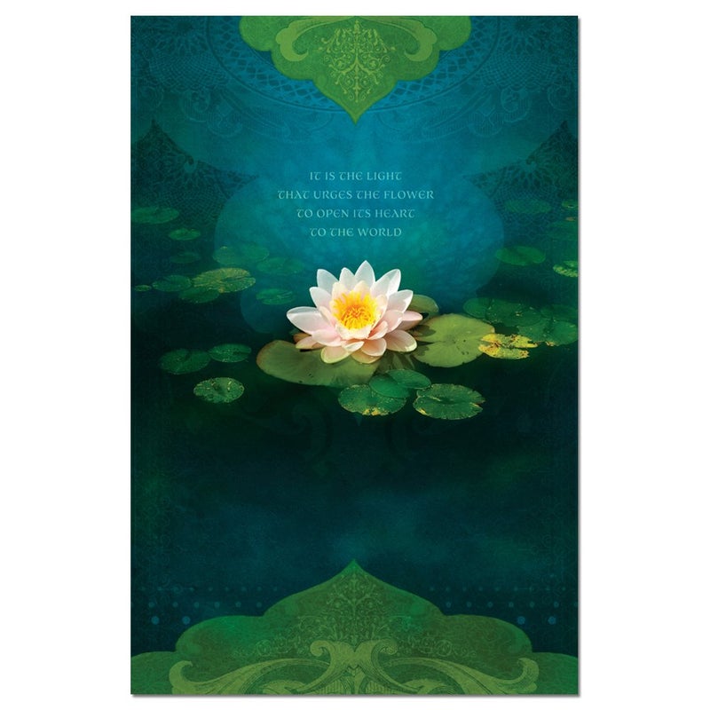 Tree-Free Greetings - All Occasion Cards - Artful Designs - 12 Greeting Cards + White Envelopes - Made in USA - 100% Recycled Paper - 4 x 6 - Bouquet of Light (FS66555) - Image 1